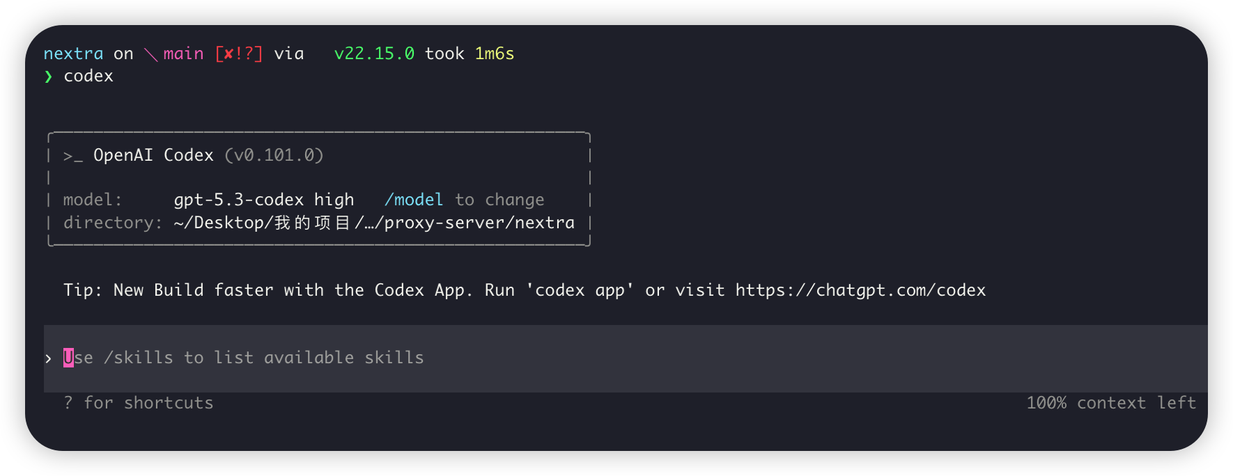 Codex 首次启动成功的终端示例