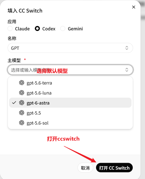 填入 CC Switch 弹窗中选择应用和主模型